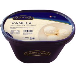 DAIRYLAND VANILLA ICE CREAM 1X4L - Bulkbox Wholesale